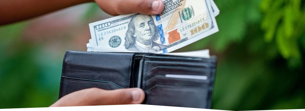 Focused Insight — The Price of Green (2024)